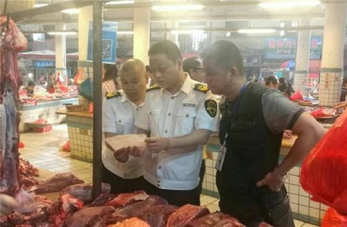 景洪市2018年食品小作坊經營安全監管數據報告